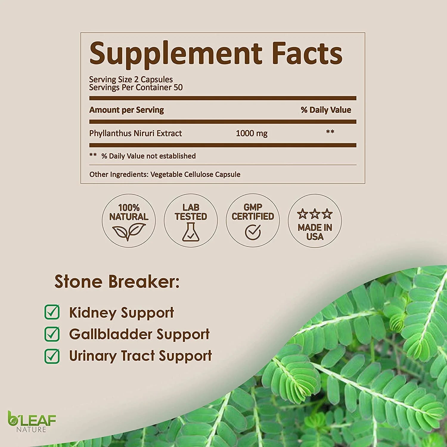 Stone Breaker Chanca Piedra Extract 1000Mg - Urinary Tract and Gallbladder Support - 100 Vegetarian Capsules